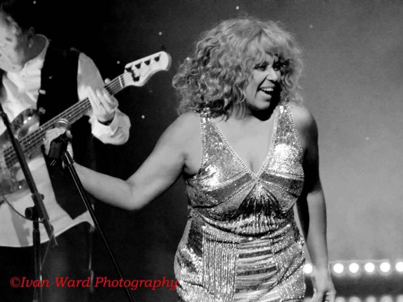 tina turner tribute
